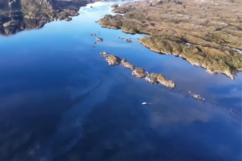 28617 diseno sin titulo 2026 01 12t162818.webp