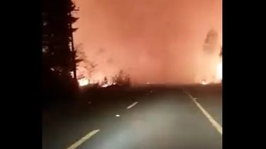 Incendio forestal: Por rápido avance del fuego Onemi extiende Alerta Roja en el Maule