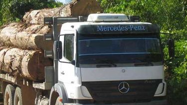 Brasil: Este es el plan de Bolsonaro para desarrollar la “Amazonía improductiva”