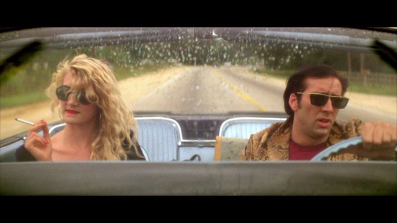 wild at heart.jpg