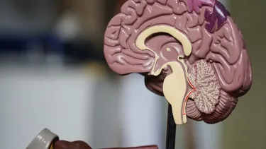 El Desconcierto | 23725 robina weermeijer 3kgf9r 0ohs unsplash.webp