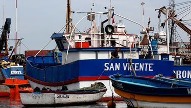 CONDEPP llama a tener “cuidado” con la Subsecretaria de Pesca ante eventual cambio de gabinete