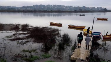 Gobierno decreta zona catástrofe desde la Región de Valparaíso a la del Biobío