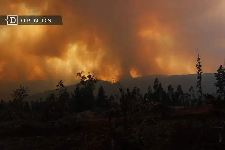 10678 incendio forestal en tome.webp