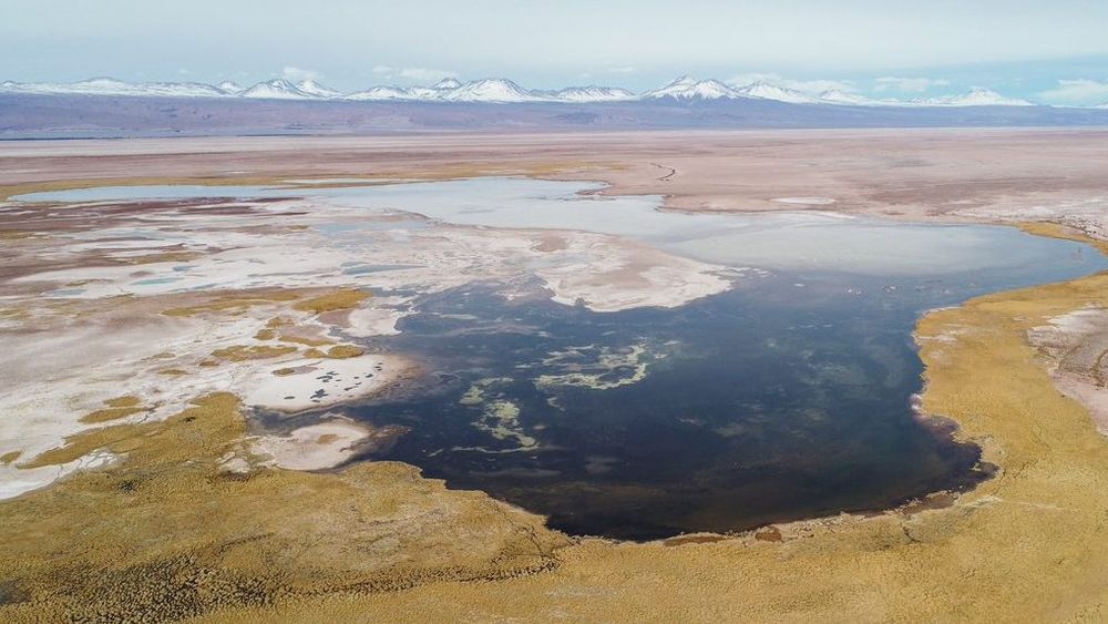 Laguna Tebenquiche en San Pedro de Atacama ahora es Santuario de la Naturaleza