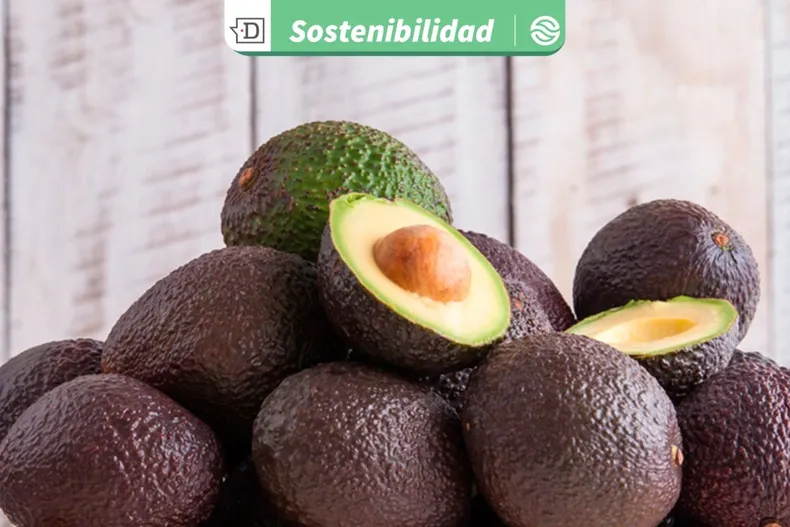 30787 diseno sin titulo 2026 03 04t150152.webp