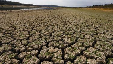 El Desconcierto | A_UNO_1358174 scaled.jpg