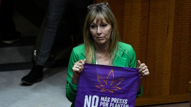 Ley Antinarcos: TC da portazo a Chile Vamos y permite el autocultivo medicinal de marihuana