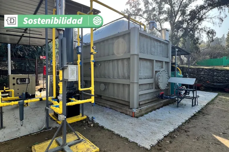 17028 diseno sin titulo 2025 06 06t182416.webp