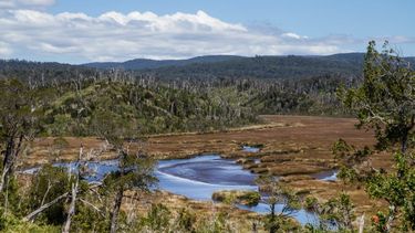 Los Lagos: Firman Decreto que crea Santuarios de la Naturaleza Humedales del Río Maullín y Humedales del Río Chepu