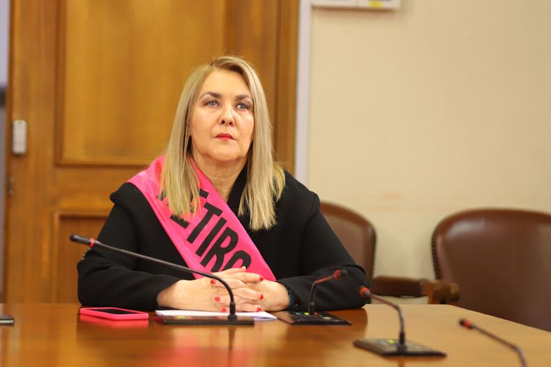Diputada Pamela Jiles impulsora del sexto retiro.jpg