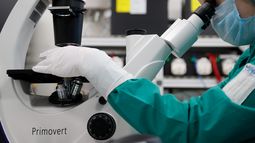 India busca una vacuna contra el coronavirus: La empezará a testear en humanos en julio