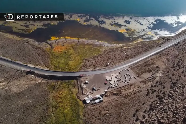 26646 lago chungara.webp