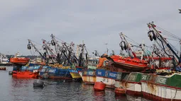 Pescadores artesanales presionan al Congreso por plataforma que les garantice salud, previsión y seguridad laboral
