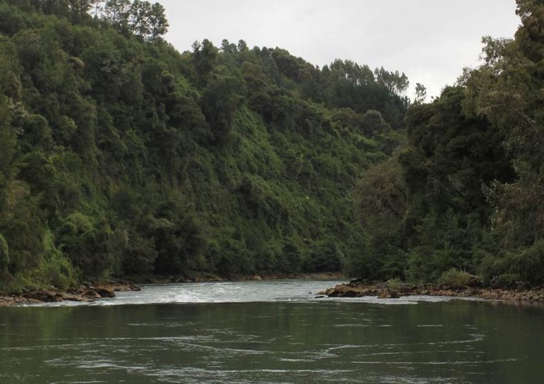 rio bueno 1 e1714751211106.jpg