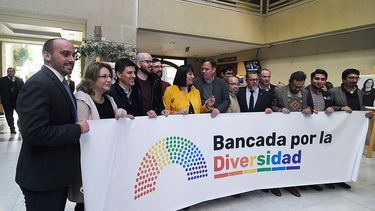 Parlamentarios conforman Bancada Tranversal por la Diversidad: Reforma a ley Zamudio y adopciones serán ejes centrales