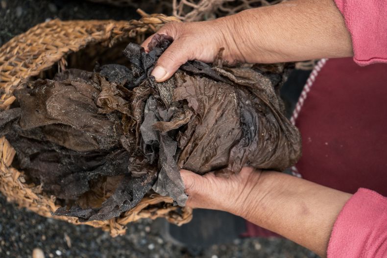 Mujeres de la pesca artesanal. 