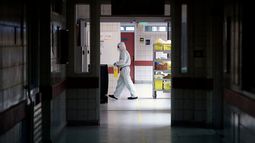 Casos mundiales de COVID-19 superan los 30 millones y la mitad se concentran en América