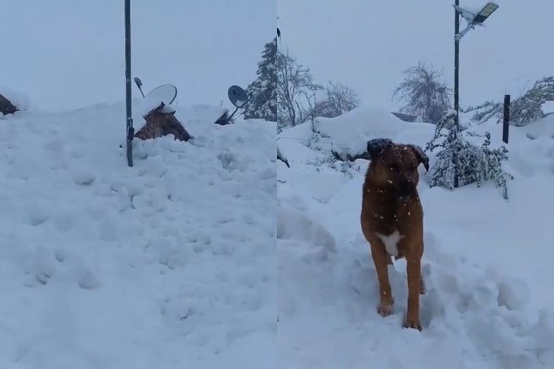 Hogares sepultados por la nieve en Tierra Amarilla.&nbsp;