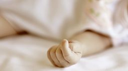 Bebé de siete meses murió de hambre luego de que sus padres lo alimentaran con leche de avena y quinoa