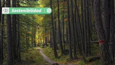 El turismo evoluciona para abrazar la regeneración, las comunidades y economías locales: Conoce la hotelería verde