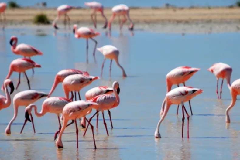 20052 diseno sin titulo 2025 07 31t214010.webp