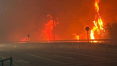 Gobierno confirma 15 muertos por incendios forestales en el Biobío: ministro Cordero entrega balance oficial