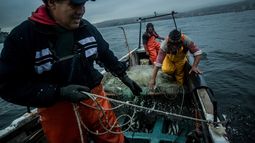 Pescadores artesanales se oponen al traspaso de la Subsecretaría de Pesca y Acuicultura al Ministerio de Agricultura