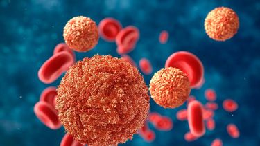 Así se vería el virus del Dengue que provocó Alerta Sanitaria - Captura de video