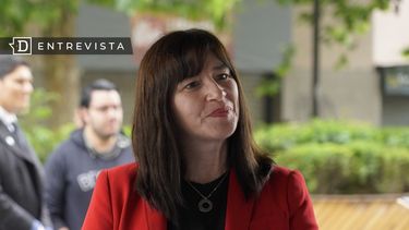 Directora de Senda: “El consumo problemático de drogas es un problema de salud mental”
