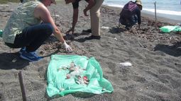 Programa de ciencia ciudadana convoca a voluntarios para investigar la basura marina