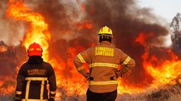 Maule: Conaf alerta por incendio forestal activo, de alta intensidad y rápida propagación