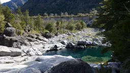 Cómo será el primer Parque Nacional de la región del Ñuble que contendrá 630 especies de flora