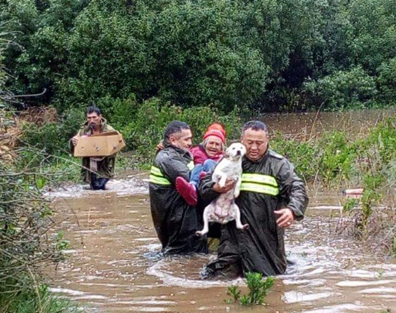 Captura de pantalla 2017 05 11 a las 5.08.52 p.m..png