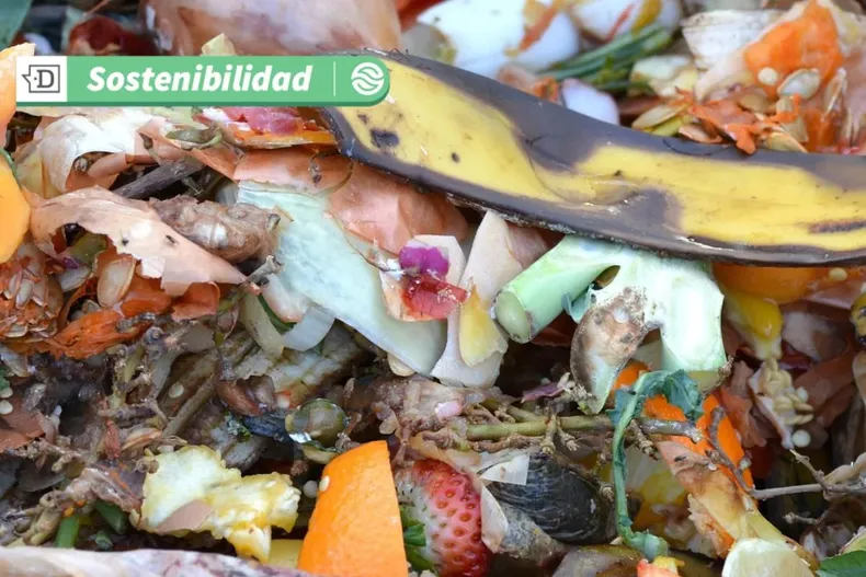 16059 diseno sin titulo 2025 05 20t134640.webp