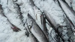 Cuídate”: Dirigenta de la pesca artesanal denuncia amenazas de industriales tras desfavorable fraccionamiento