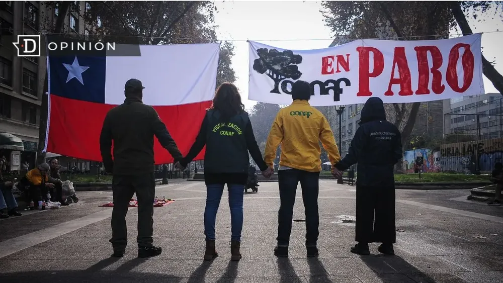 Paro de CONAF: El ignorado daño a pequeños emprendedores y comunidades rurales