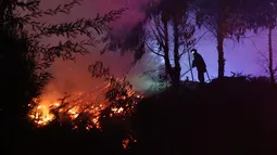 Incendios forestales en Ñuble y Biobío se reactivan: Sexto día de combate de las llamas en jornada con más de 30°C