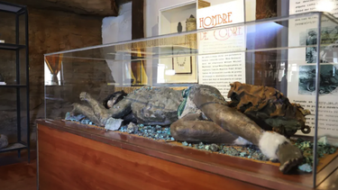 Calama traería de vuelta desde NY al Hombre de cobre, pieza arqueológica atacameña única