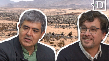El Desconcierto | Mauricio Daza y Freddy Stock