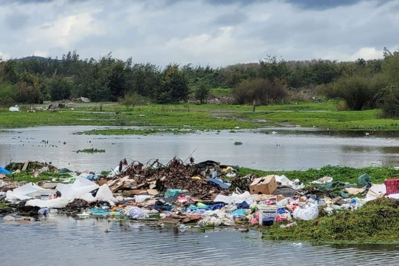 5724 basural en humedal.jpg