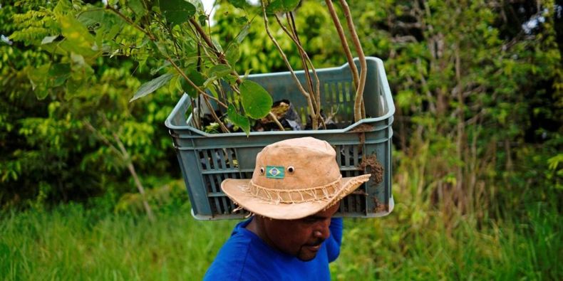 reforestacion Brasil cop27 america latina_Alexandre Meneghini_Alamy_2CN42FT 1440x720 1 e1661876666935.jpg