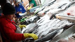 Por no acreditar origen de mil kg de merluza y 5 mil kg de reineta: $12 millones de multa a transportista