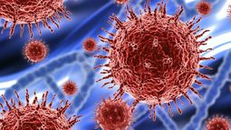Investigación independiente: OMS es demasiado débil para lidiar con la pandemia COVID-19