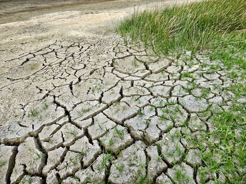cambio climatico.jpg