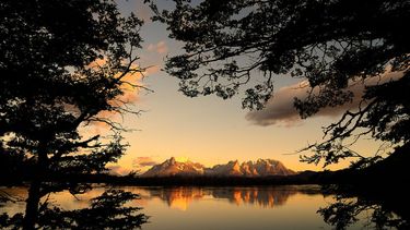 El Desconcierto | Imagen sobre la ecología, perspectiva desde un bosque de las Torres del Paine