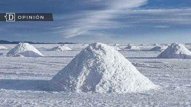 El Desconcierto | Diseno sin titulo 12.png