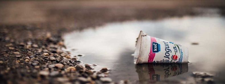 BANNER IMAGE yogurt cup 1200x450 1.jpeg