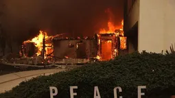 Desde Paris Hilton a Anthony Hopkins: Los famosos damnificados por incendios en California