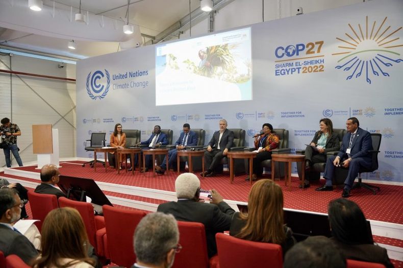 Cop27 e1668287003901.jpg